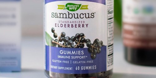 Nature’s Way Sambucus Elderberry Immune Support Gummies Only $11 Shipped on Amazon (Reg. $21)