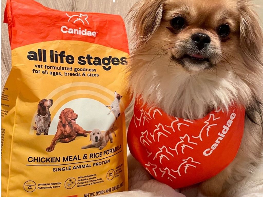 Small dog wearing a bandana sitting next to a bag of Canidae Dog Food