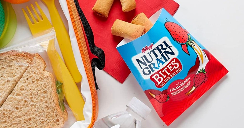 Nutri-Grain Bites Mini Breakfast Bars