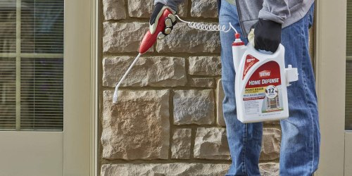 Lowe’s Freebie Alert: Score a $10.98 ORTHO Insect Killer Refill Free with Purchase!