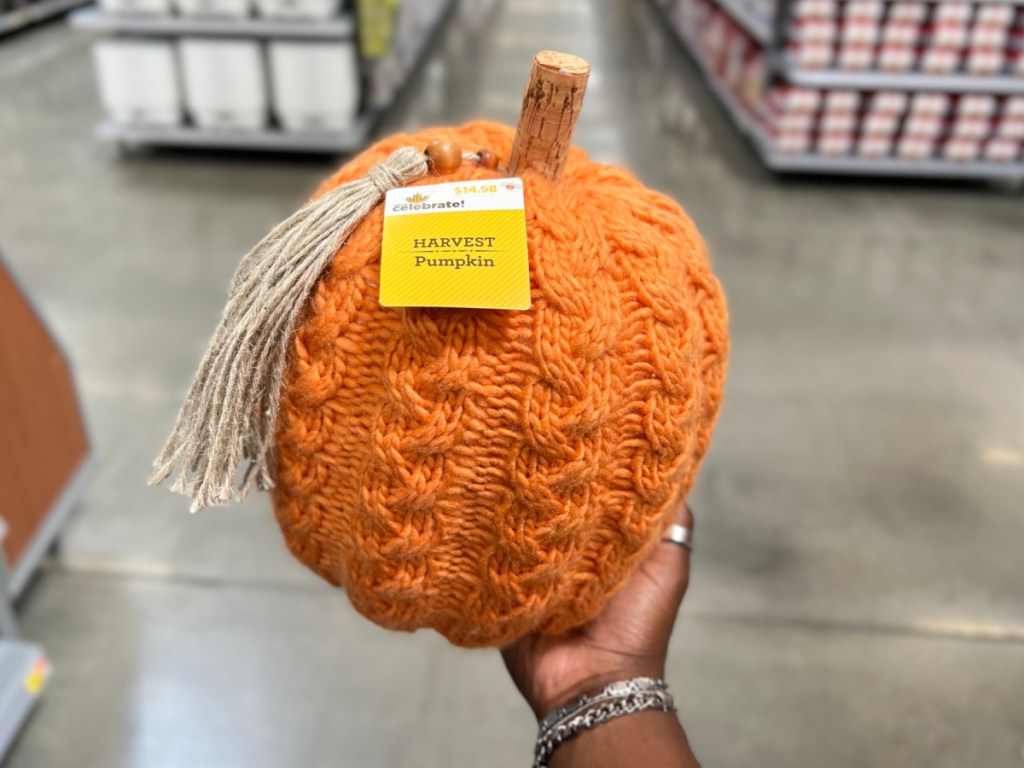 woman holding large orange knit pumpkin in store