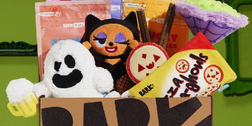 ** Get DOUBLE The Dog Treats, Toys & Chews in Your First BarkBox (Fun Halloween Theme!)