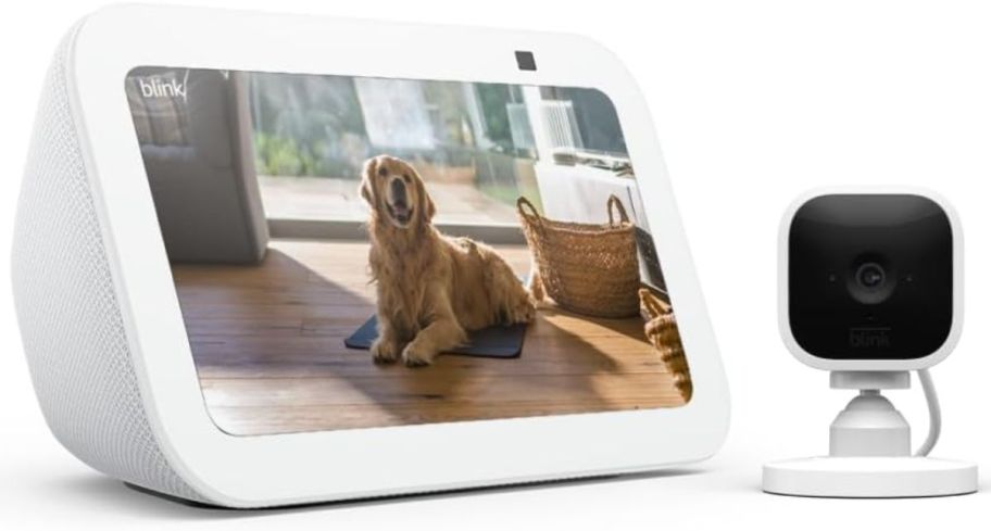 Echo show and blink mini security camera stock image