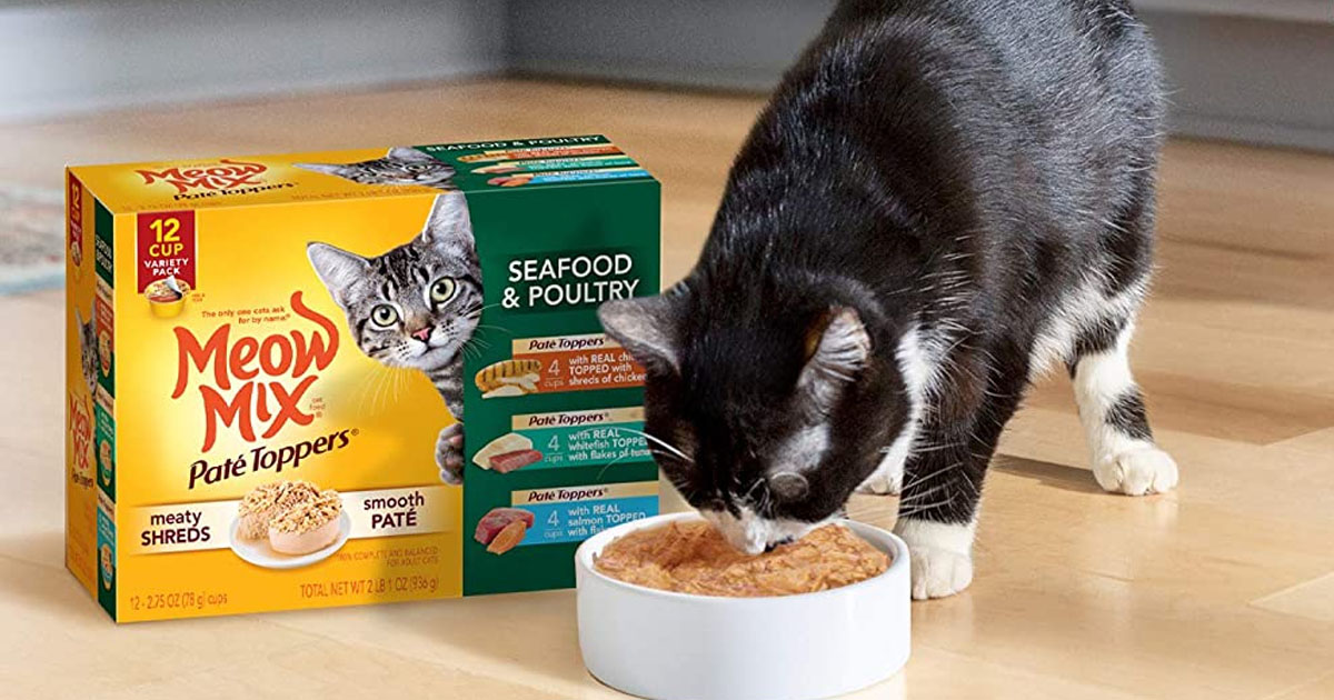 cat eating meow mix cat food