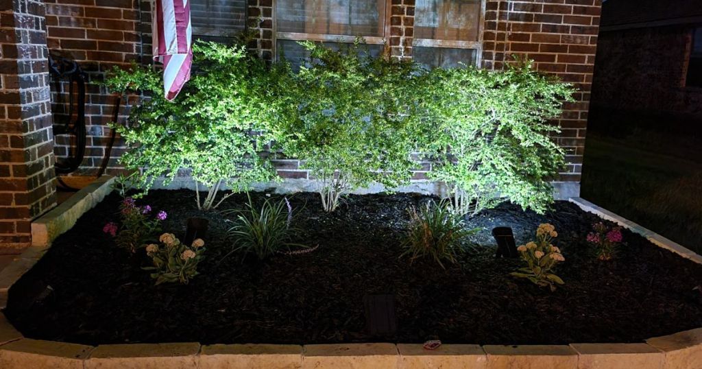 spot lights in flower bed shining on plants