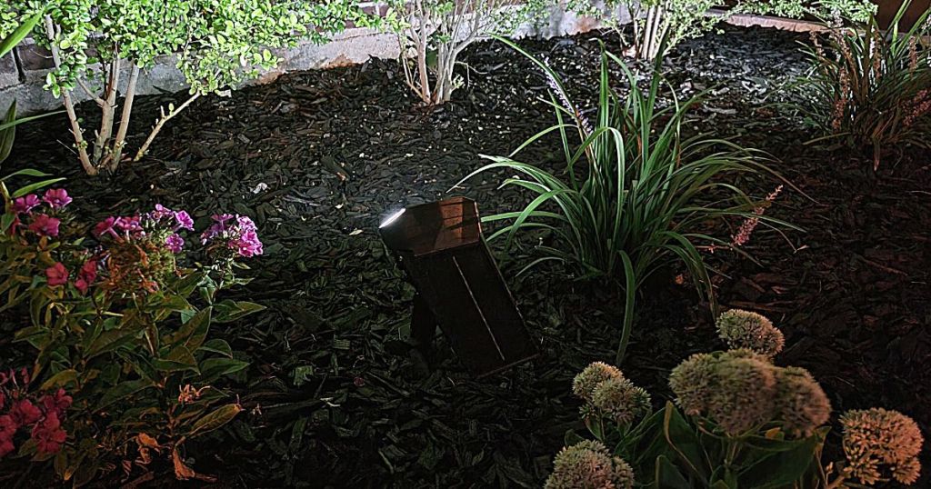 solar light in flower bed at night