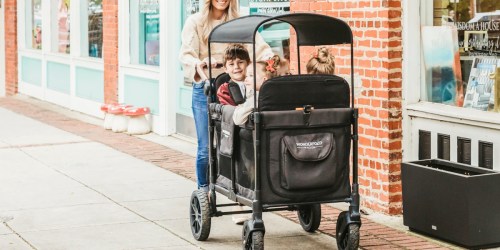 A Wonderfold® Wagon Is $900?! We Found 6 Alternatives That Won’t Break the Bank!