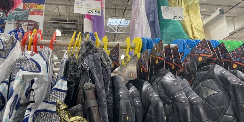 Costco Kids Costumes from $13.99 | Including Disney Princess, DC Comics + More!