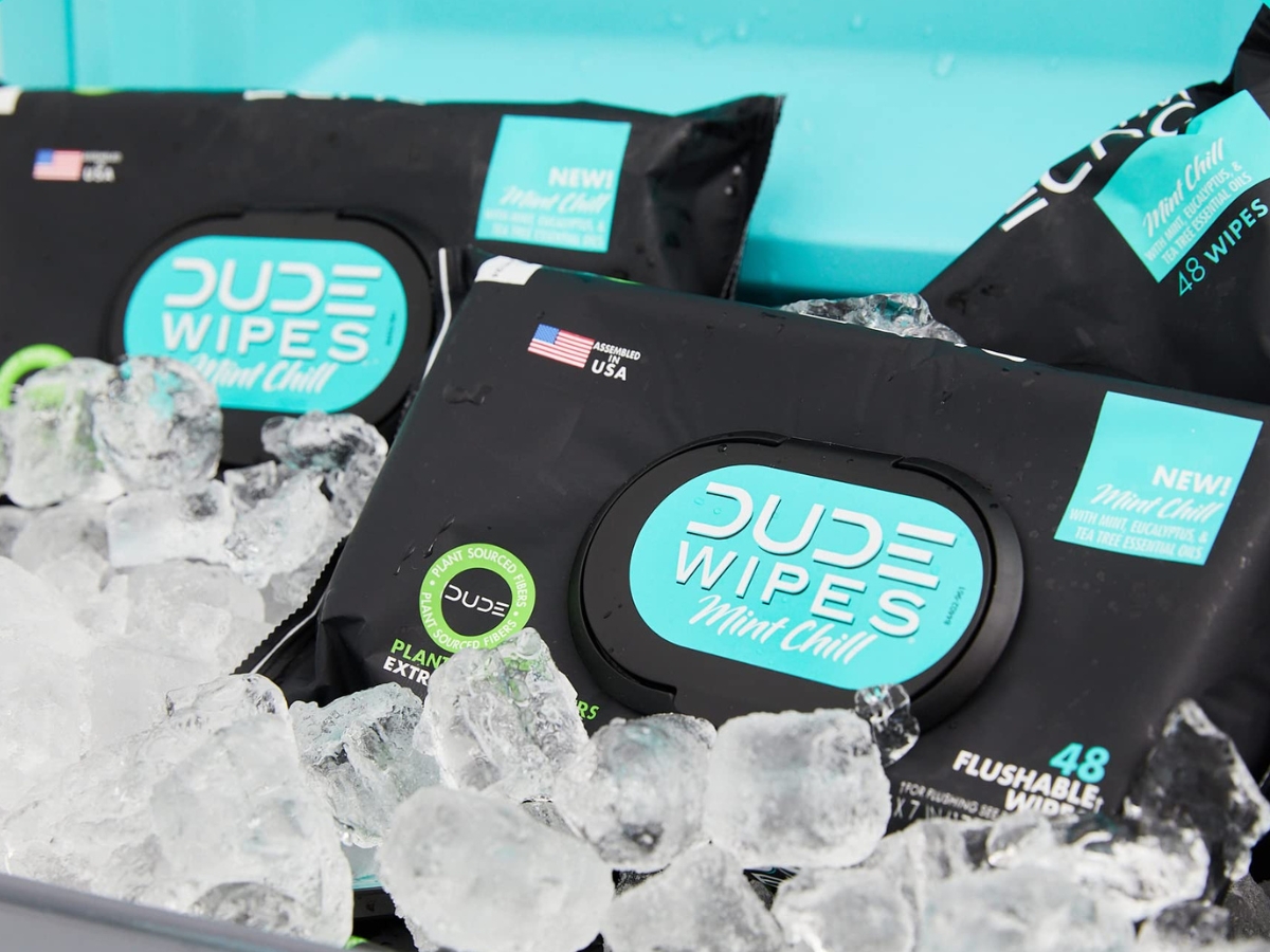 Dude Wipes Fragrance-Free Flushable Wipes 6-Pack