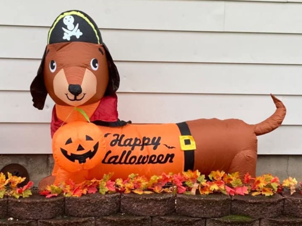 Goosh Halloween Inflatables Pirate Dachsund