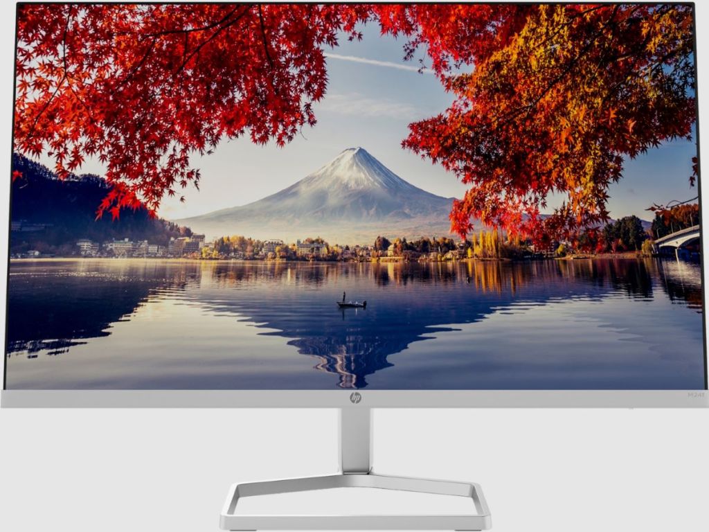 HP Monitor