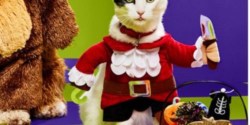 50% Off Petco Halloween Costumes & Toys