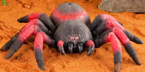 Remote Control Spider with Creepy Led Eyes Only $10 on Amazon (Regularly $20)