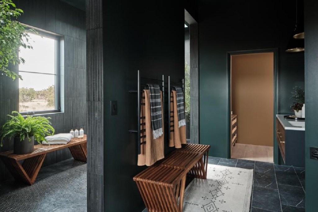The HGTV Dream house bathroom with teak benches and earthy green walls