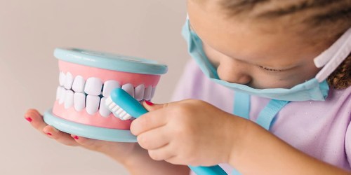 Melissa & Doug Super Smile 25-Piece Toy Dentist Set Only $10.49 on Target.com (Reg. $21)