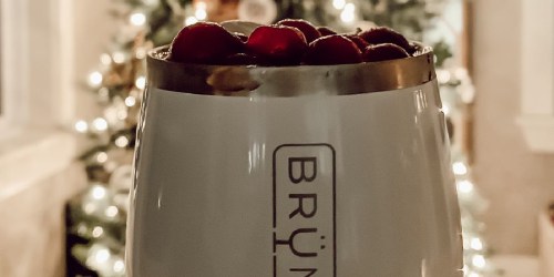 BrüMate Insulated Tumblers & Coolers Just $9.99 on BestBuy.com (Regularly $25) | Practical Gift Idea