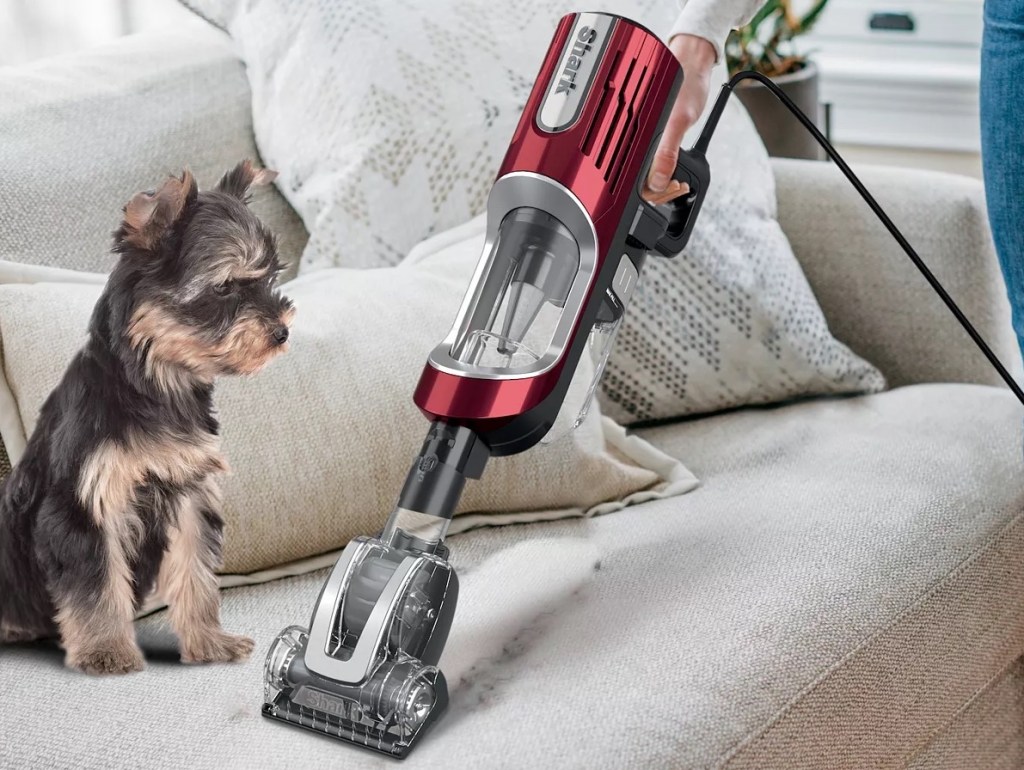 hand holding Shark Ultralight Vacuum on couch