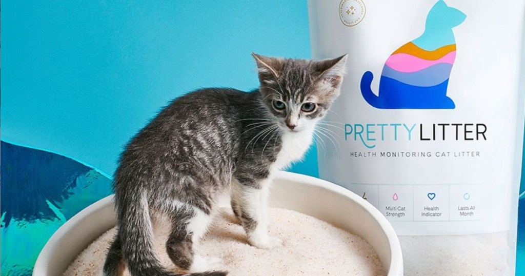 pretty cat litter 