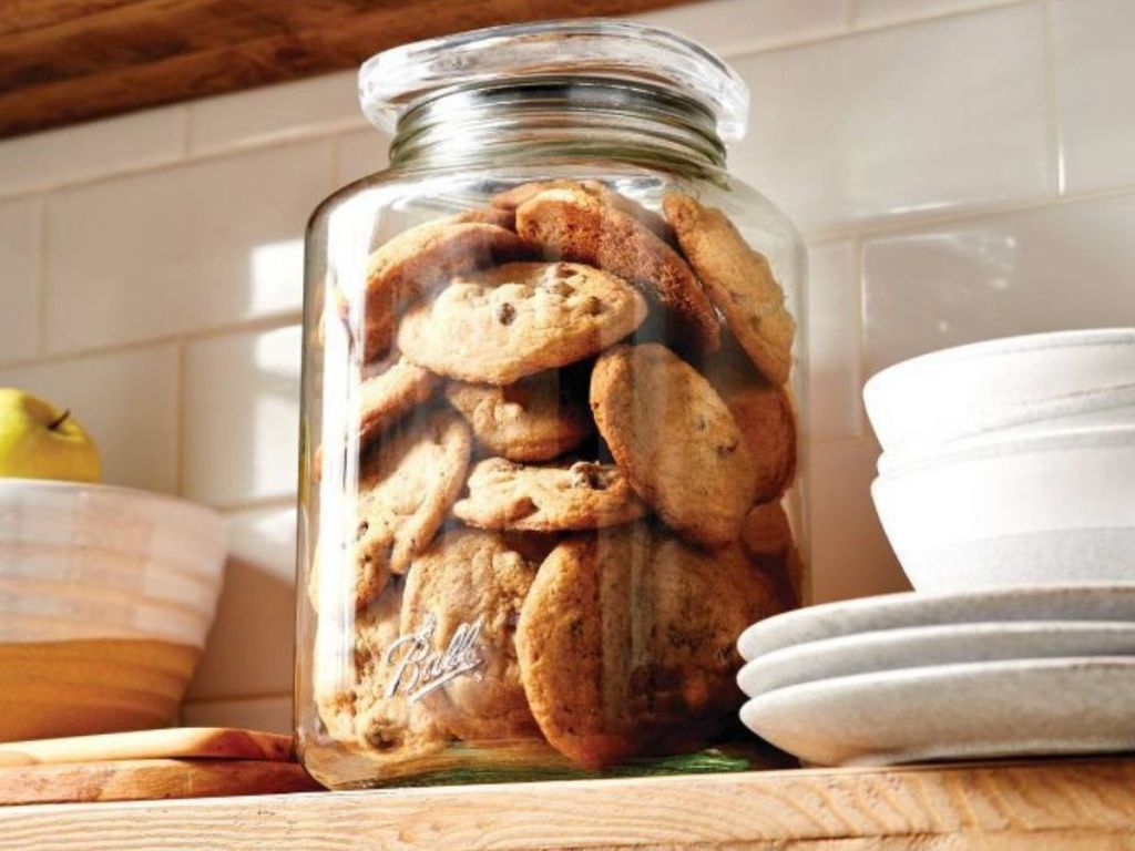 Ball Storage Container with cookies inside