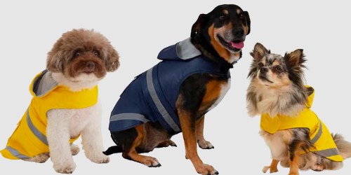 Eddie Bauer Pet Rain Coats Just $8.99 on Costco.com (Regularly $15)