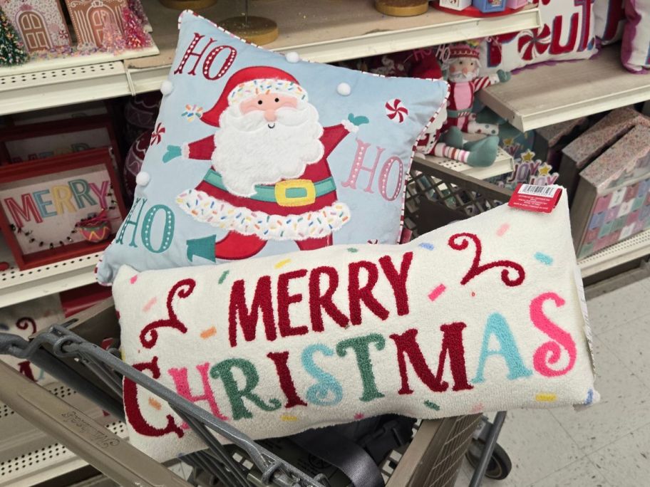 Two Ashland Spinkle Shop Decorative Throw Pillows in a Michael's Cart
