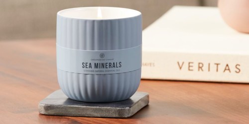 Buy One, Get TWO Free Chesapeake Bay Candles at Yankee Candle | Only $4.67 Each