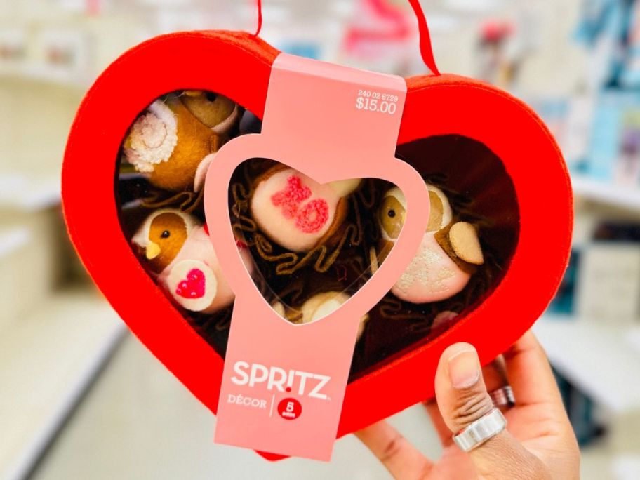 Hand holding a Box of Spritz Valentine's day Featherly Friends Bird Decorations