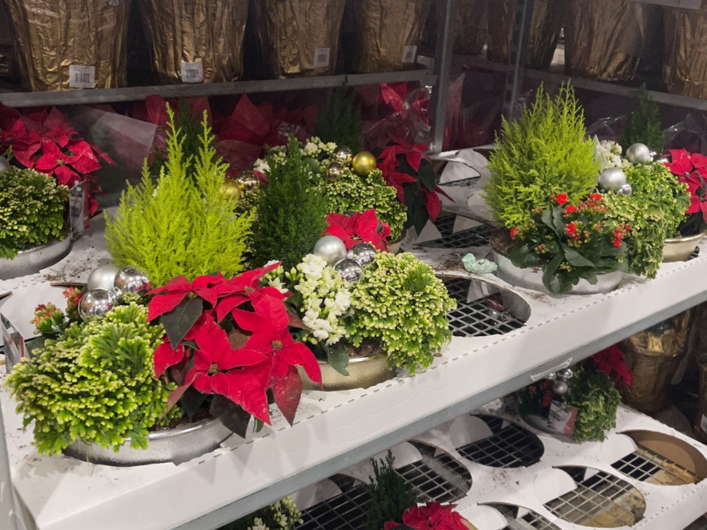 costco holiday centerpieces