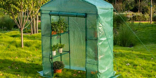 Walk-In Greenhouse Just $49 Shipped on Walmart.com | Includes Shelves for Pots