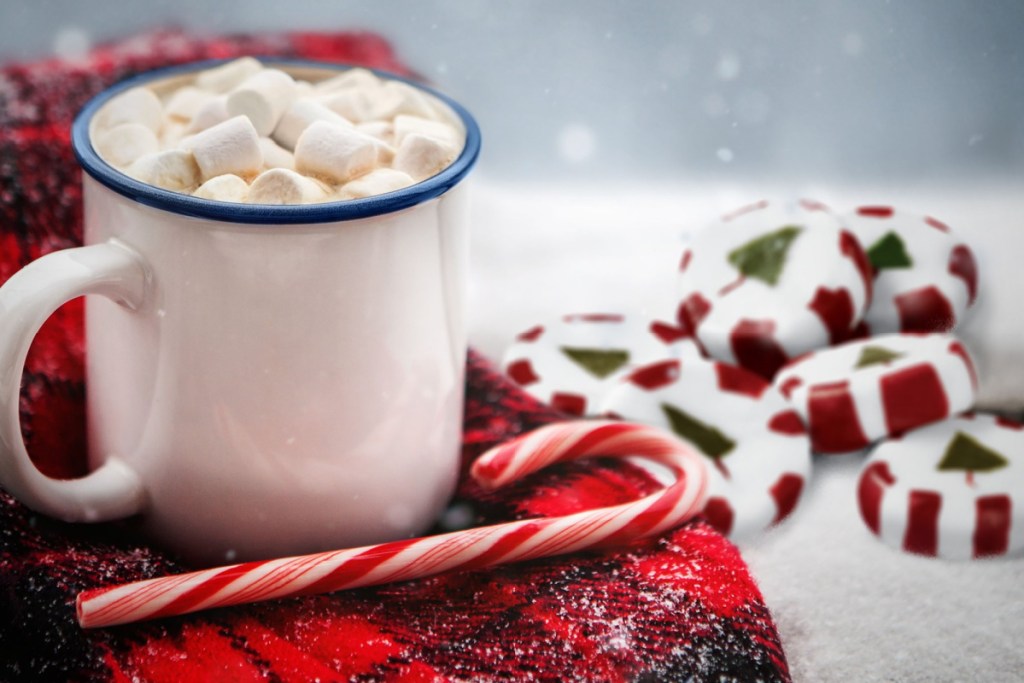 mug of hot chocolate near brachs candies and a brachs candy cane