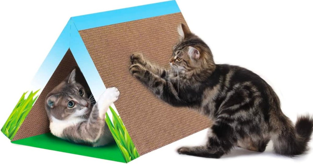 two cats playing with cat scratcher