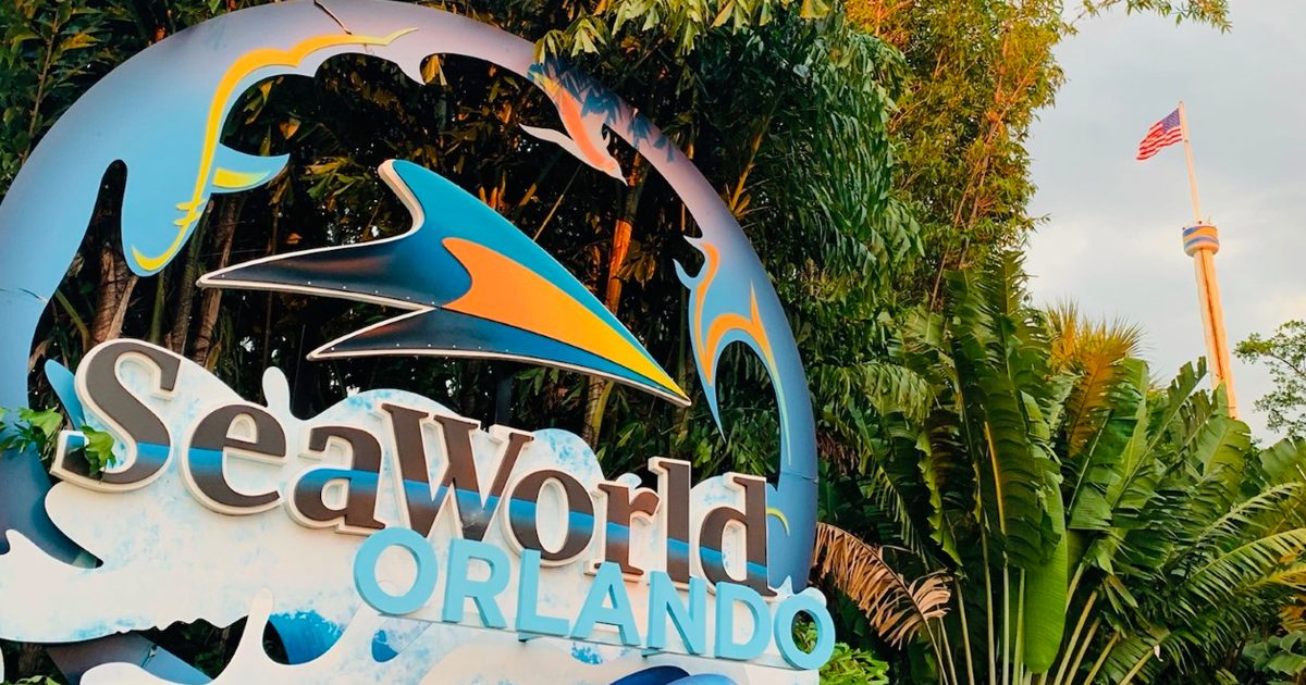 The SeaWorld Orlando Park which Offers FREE SeaWorld Military Tickets through Waves of Honor Program