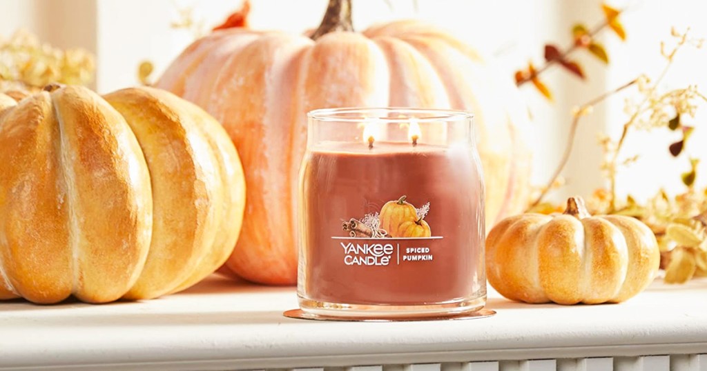 spiced pumpkin candle near pumpkins