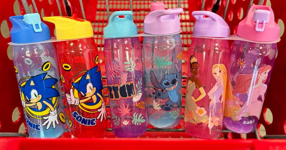 ZAK Character Water Bottles 2-Packs