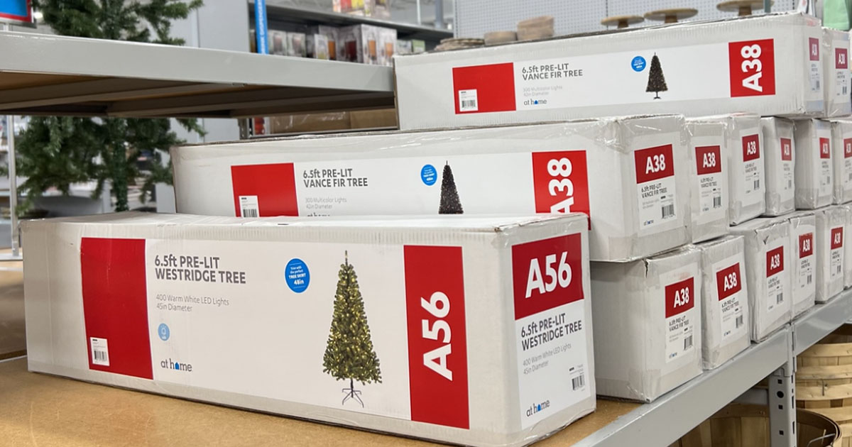 christmas trees in at home store