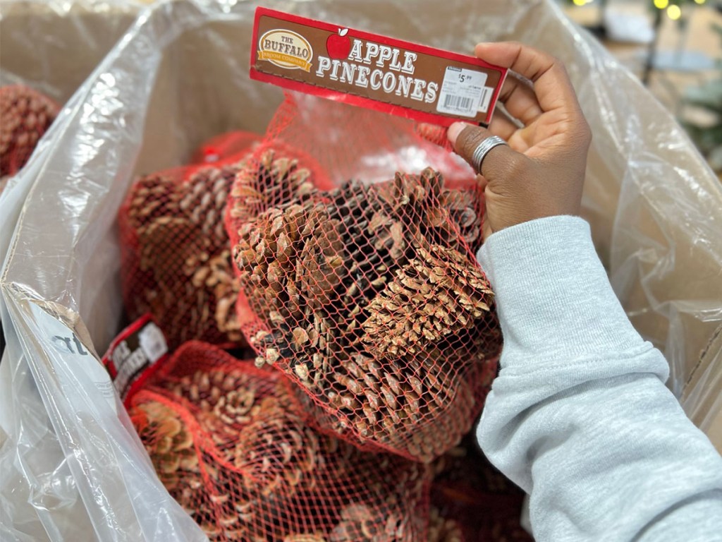 apple pinecones in at home store