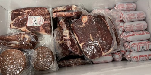 Tired of Rising Beef Prices? Buy a Cow Instead (Tips, Tricks, & More to Help you Save BIG!)