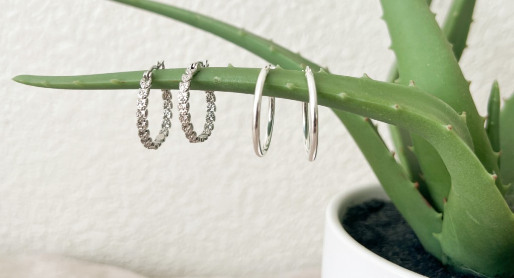 two pairs of hoop earrings on succulent stem