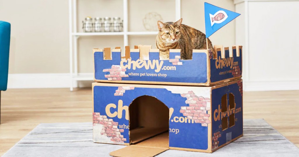 cat sitting on top of castle made out of chewy shipping boxes