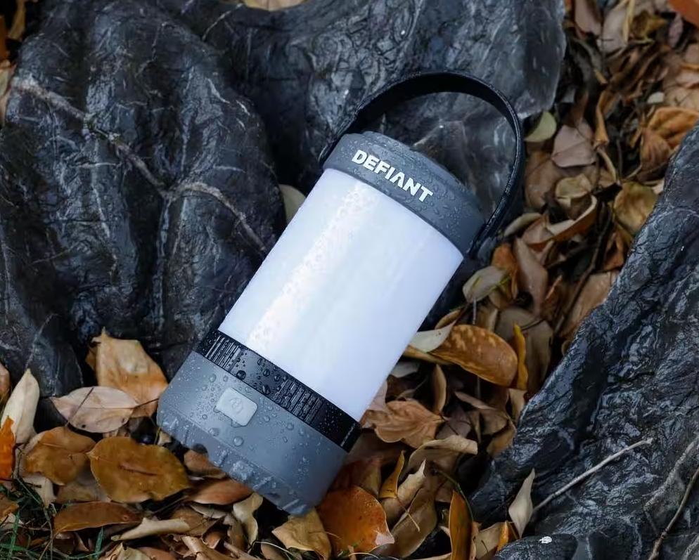 Lantern laying in a pile of leaves outside.