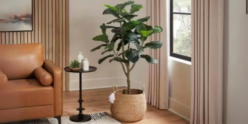 Up to 50% Off Faux Fiddle Leaf Fig Trees + Free Shipping on HomeDepot.com