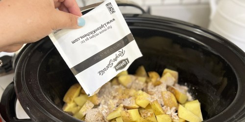 LOWEST PRICE! Lipton Onion Soup Mix Boxes 6-Pack Only $2.79 Shipped on Amazon (47¢ Each)