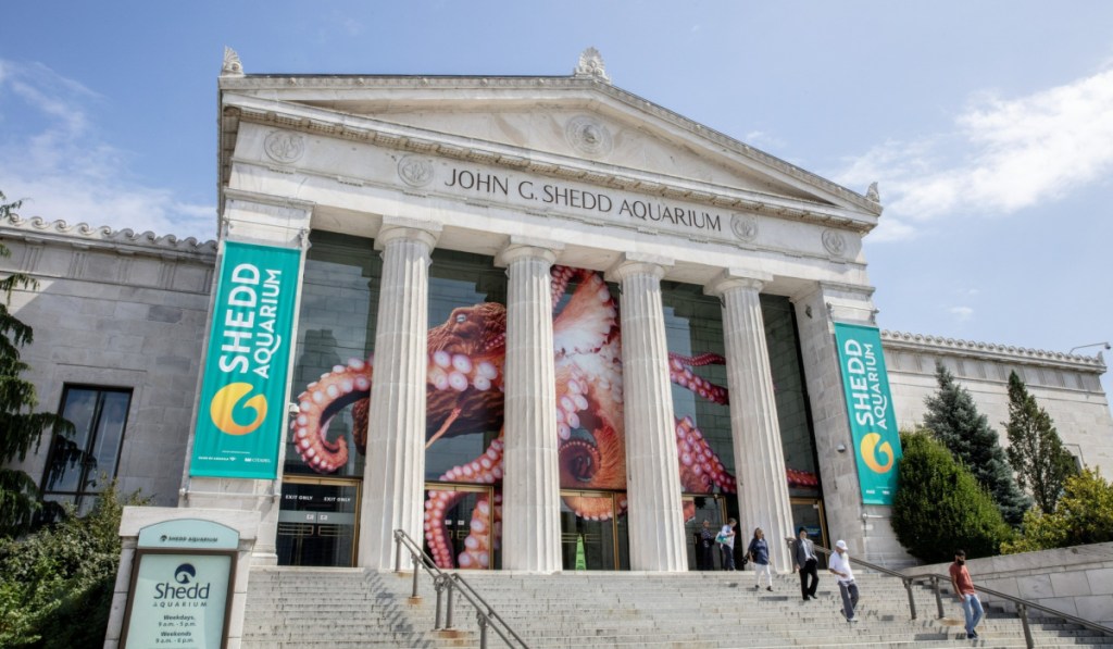 The Shedd Aquarium offers discounted admission to those with SNAP benefits.