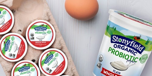Stonyfield Organic Yogurt Is Giving Away FREE 32oz Containers (10,000 Will Win)