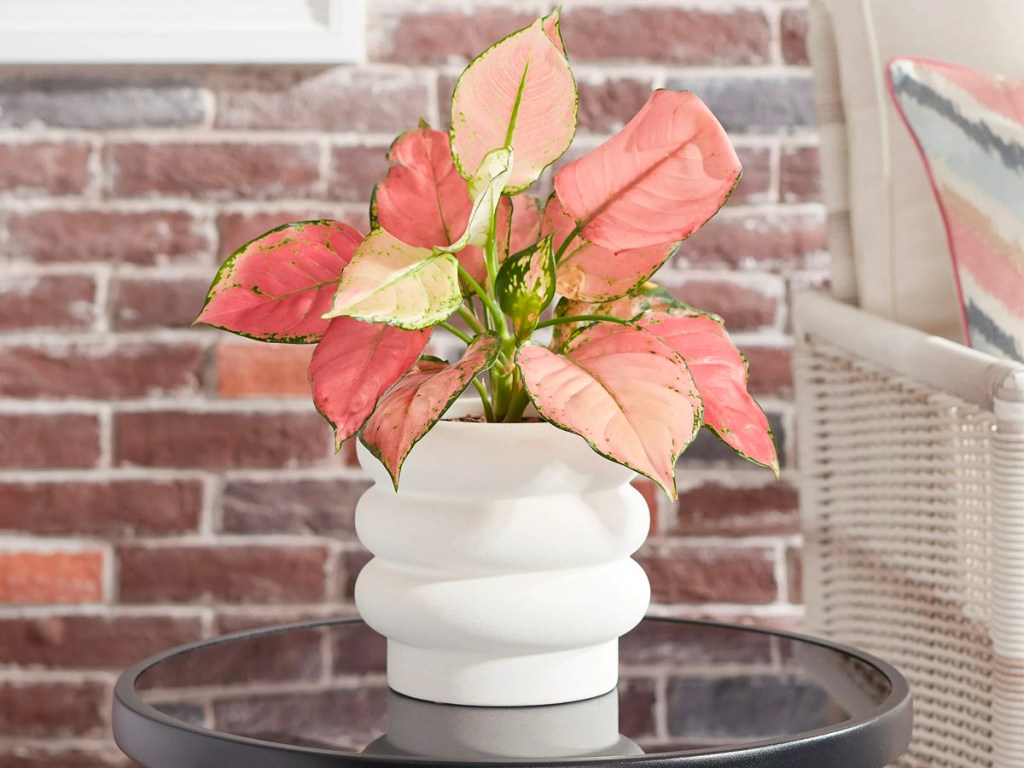 better homes and garden white planter with pink flower on patio table