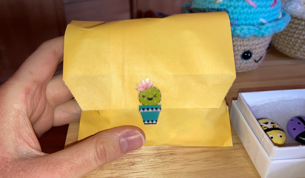 goody bag envelope with cactus sticker