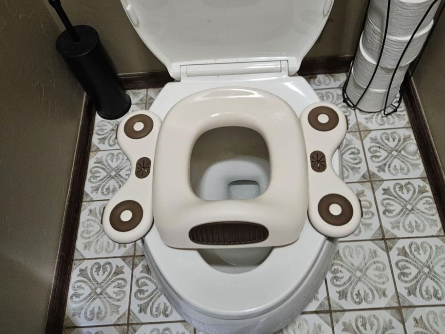 potty seat on toilet in bathroom