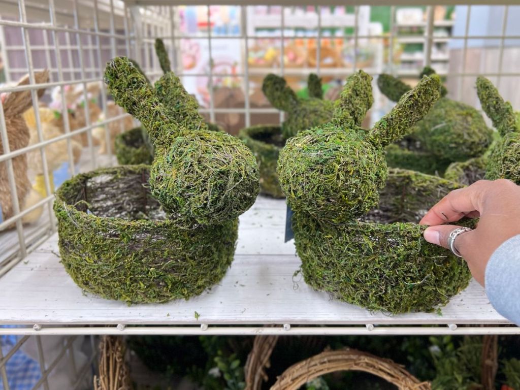 Ashland Bunny Moss Planters