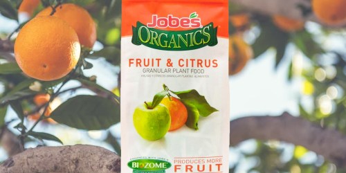 Jobe’s Organics Fruit & Citrus Fertilizer 16lb Bag Just $17.48 Shipped on HomeDepot.com | Awesome Reviews