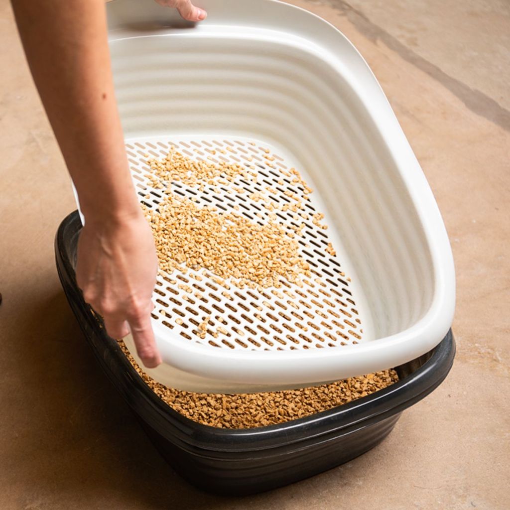 a womans hand sifting cat litter with a Petmate Sifting litter box